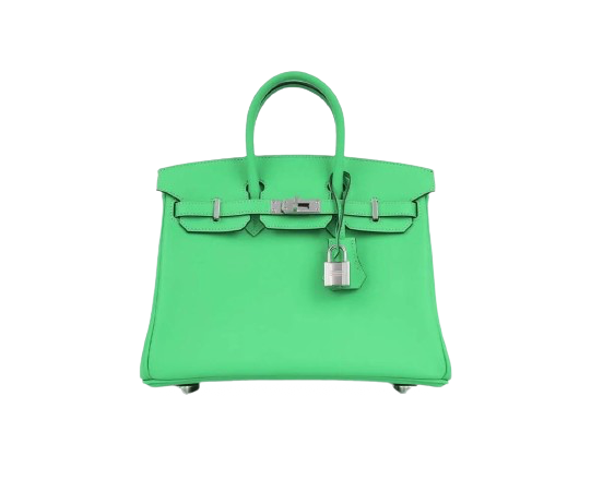 BIRKIN 25 IN VERT COMIC SWIFT LEATHER WITH PALLADIUM HARDWARE