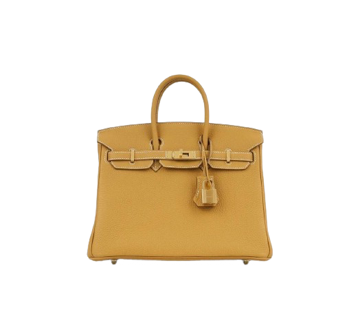 BIRKIN 25 IN NATUREL SABLE TOGO LEATHER WITH GOLD HARDWARE