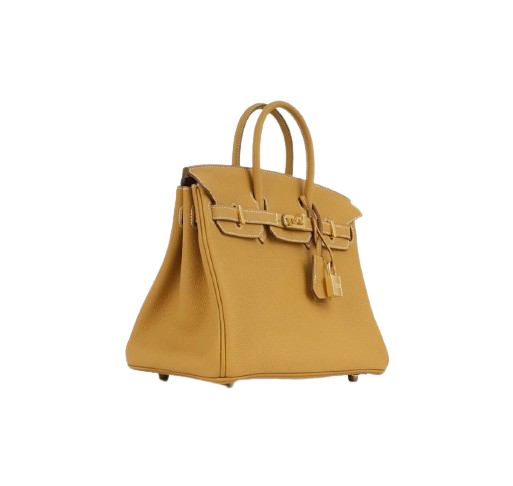 BIRKIN 25 IN NATUREL SABLE TOGO LEATHER WITH GOLD HARDWARE