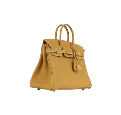 BIRKIN 25 IN NATUREL SABLE TOGO LEATHER WITH GOLD HARDWARE