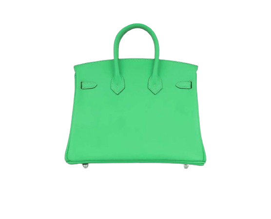 BIRKIN 25 IN VERT COMIC SWIFT LEATHER WITH PALLADIUM HARDWARE